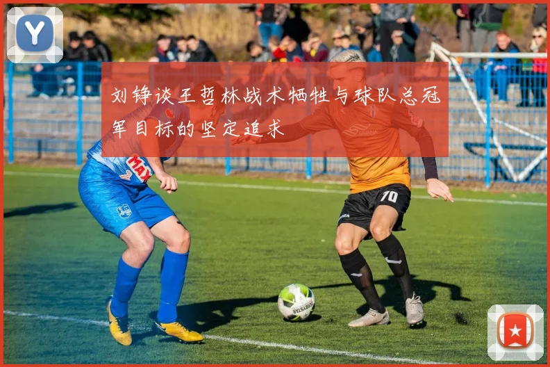 刘铮谈王哲林战术牺牲与球队总冠军目标的坚定追求